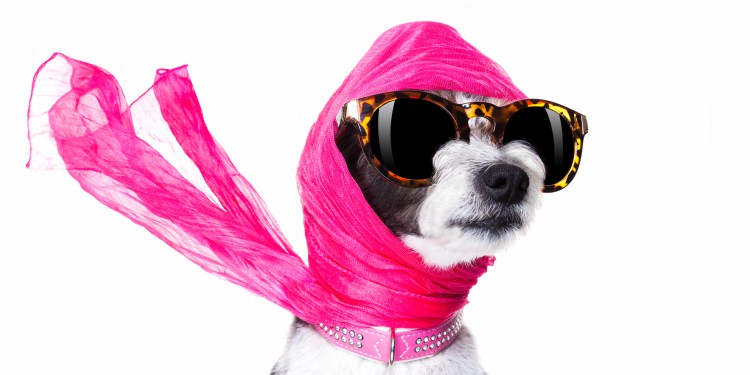 12 tips para salir como una diva de tu primera cita