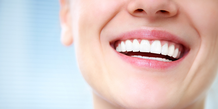 La placa bacteriana, las caries, el cálculo y las enfermedades de la encía