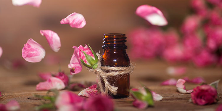 Esencias Florales, una alternativa para las mascotas