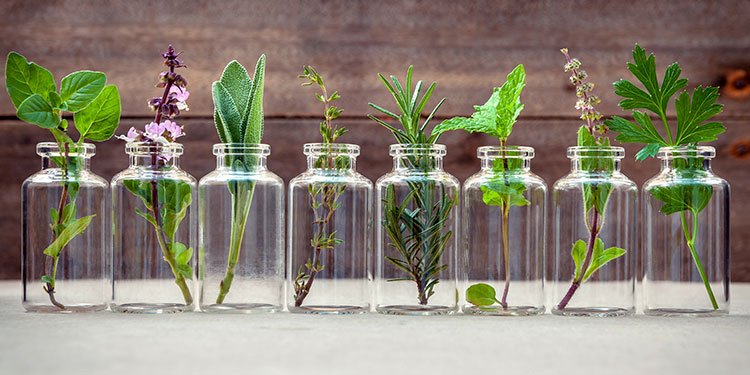 Aromaterapia es una técnica de relajación fascinante