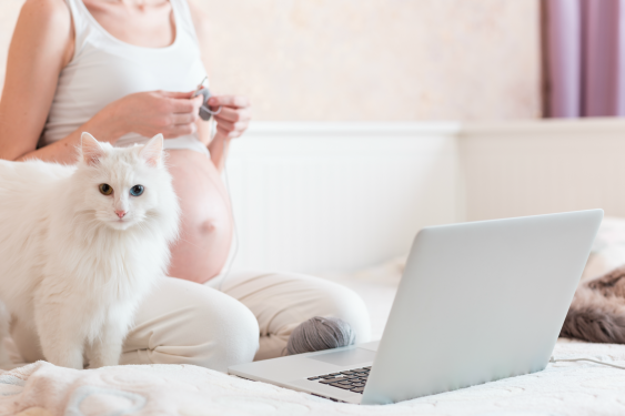 ¿Estás Embarazada, tienes mascotas y dudas acerca de la Toxoplasmosis? lee este Artículo.